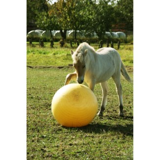 Maximus Power Play Ball | Professionnel