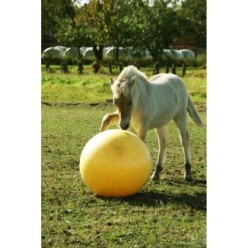 Maximus Power Play Ball | Professionnel