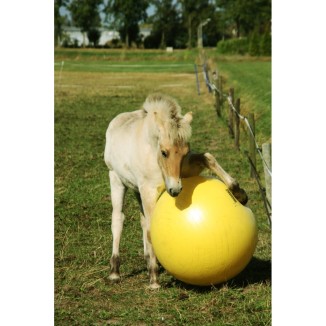 Ballon d'exercice Maximus Power Play 65 cm: idéal pour les chevaux !