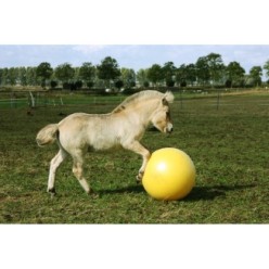 Maximus Power Play Ball | Professionnel
