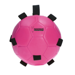 Excellent Cheval Amusant Jouer Balle | Professionnel