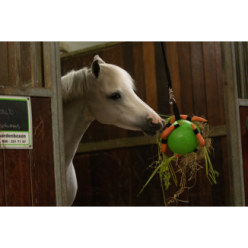 Jouet Amusant pour Cheval Excellent Horse - Balle Rose