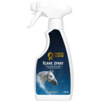 Spray Brillance Paardenpraat TV 250 ml | Professionnel