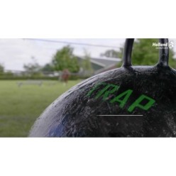 Piège collant en forme de boule 60 cm | Professionnel