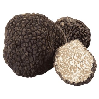 Barres de fromage pour chien SwissCowers Truffe