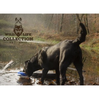 Wild Life Chien Canard - Le jouet parfait pour votre fidèle compagnon
