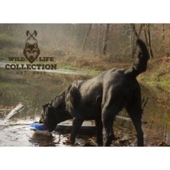Wild Life Chien Canard - Le jouet parfait pour votre fidèle compagnon