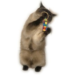 Jouets pour chats Cat Dancer Ring Tail Chasers - Lot de 2