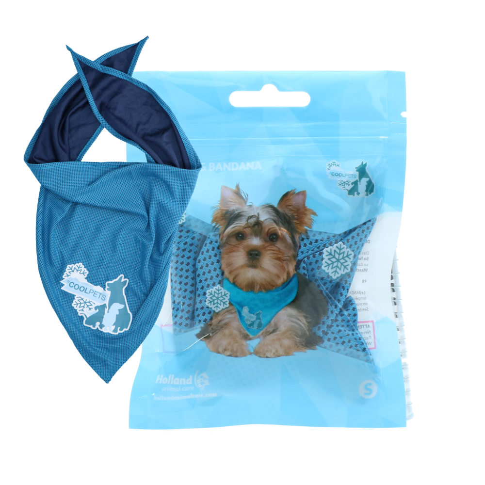 Rafraîchissez votre chien avec le Bandana CoolPets