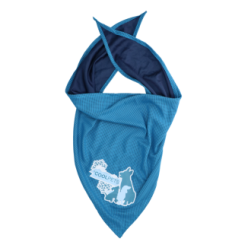 Rafraîchissez votre chien avec le Bandana CoolPets