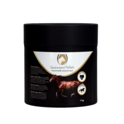 Excellent Granulés d'Algues 1 kg | Professionnel