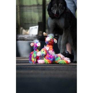 FantaZoo Lapin - Jouet pour chien de taille M
