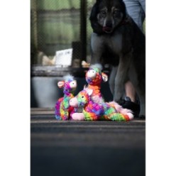 FantaZoo Jouet Multicolore - Jouet Fantaisie Couleurs Vives Chien