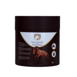 Excellent Cheval Fenugrec | Professionnel