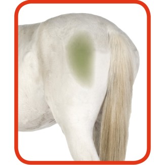 Excellent Spray nettoyant haute brillance pour chevaux 500 ml - Brillant et efficace