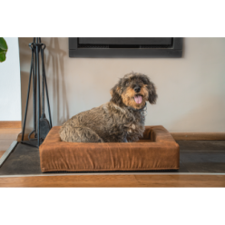Panier pour chien Let's Sleep Comfy Coussin