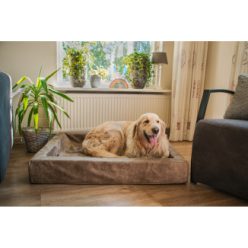 Panier pour chien Let's Sleep Comfy Coussin