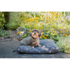 Coussin Nuage Confortable d'Extérieur pour Chien  Anthracite