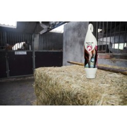 Crème Musculaire pour Chevaux Excellente 1 kg | Professionnel