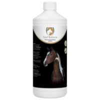 Excellent Équilibre Total pour Chevaux | Professionnel