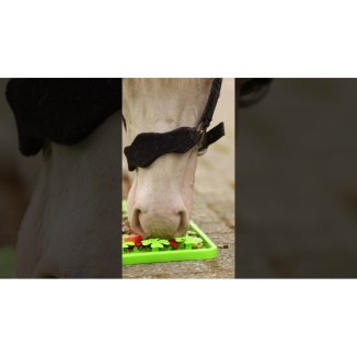 Excellent Tapis de Fouille pour Cheval | Professionnel