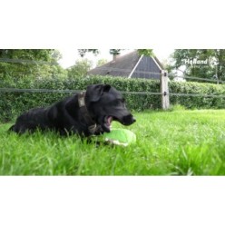 Fuzzle Vache avec 5 couineurs pour Chien