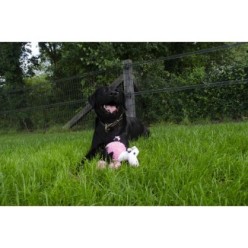 Fuzzle Jouet 5 Couineurs - Peluche Multi-Sons Interactive Chien