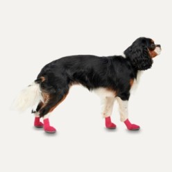 Bottes pour Chien Goo-eez Ultras 2 - Protégez les pattes de votre chien