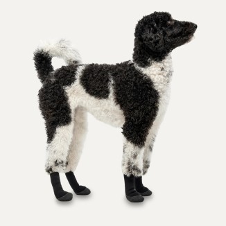 Chaussettes antidérapantes pour chien - Pack de 4