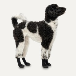 Chaussettes antidérapantes pour chien - Pack de 4