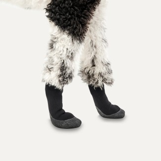 Chaussettes antidérapantes pour chien - Pack de 4