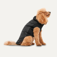 Manteau chic pour chien Goo-eez Signature