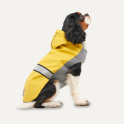 Imperméable à capuche réfléchissant pour chien Goo-eez Jaune/Gris