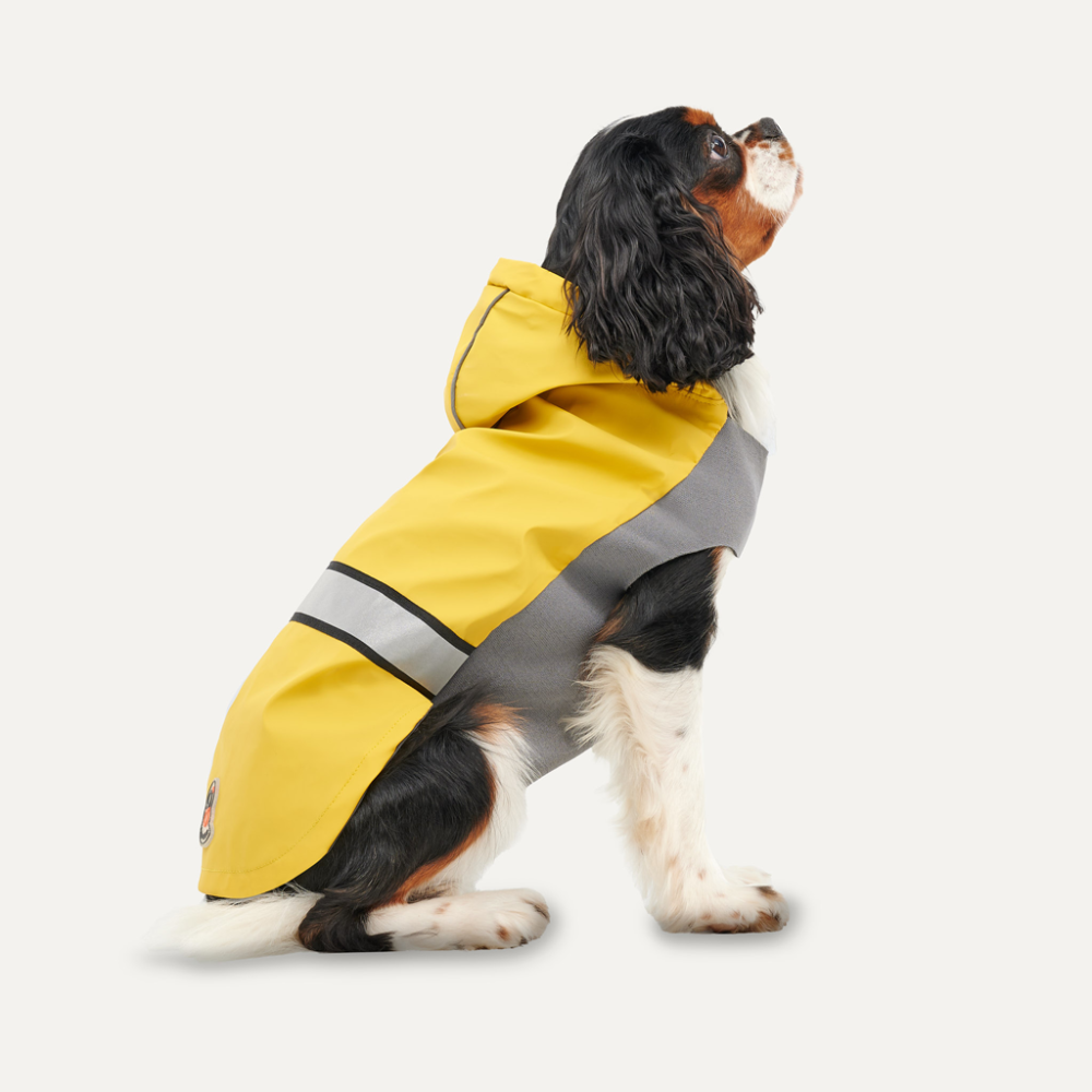 Imperméable à capuche réfléchissant pour chien Goo-eez Jaune/Gris