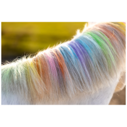 Craie arc-en-ciel Licorne Lucky Horse - Magie des couleurs pour les amoureux des chevaux