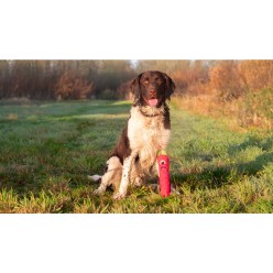 Capturez les comètes avec Les envahisseurs de chien vert L