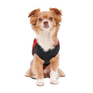 Manteau chic pour chien Goo-eez Signature