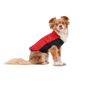 Manteau chic pour chien Goo-eez Signature