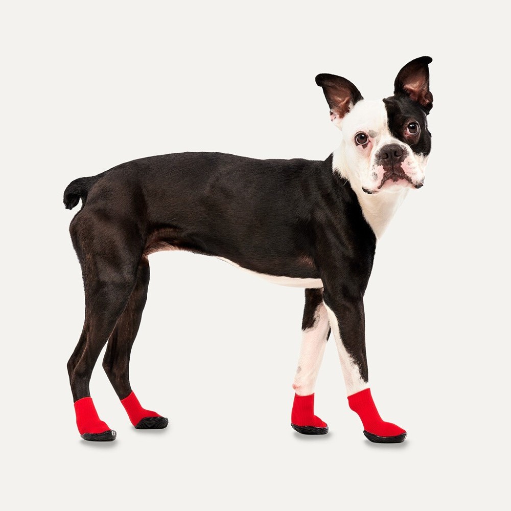 Chaussettes antidérapantes pour chien - Pack de 4
