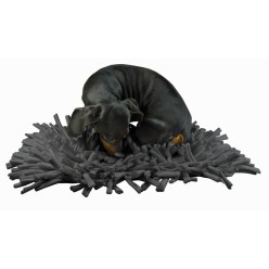 Tapis de jeu Eat Slow Live Longer pour chien