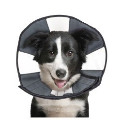 Zenpet Procone - Cône de Protection pour Chiens