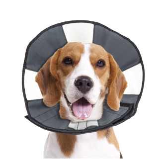 Zenpet Procone - Cône de Protection pour Chiens