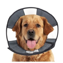 Zenpet Procone - Cône de Protection pour Chiens