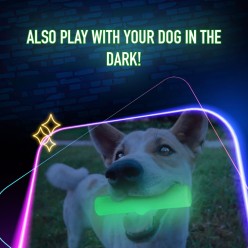 Jouets phosphorescent de la marque 2 Glow
