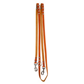 Laisse de Dressage Professionnelle en Cuir Spotted! Pro
