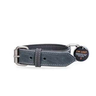 Spotted! Collier Pro Cuir - Collier Premium Élégant Chien