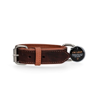 Collier Pro en Cuir pour Chien