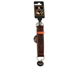 Collier Pro en Cuir pour Chien
