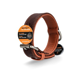 Spotted! Collier Pro Cuir - Collier Premium Élégant Chien