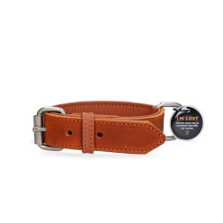 Collier Pro en Cuir pour Chien